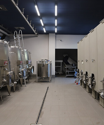 Podere Giodo di Carlo Ferrini