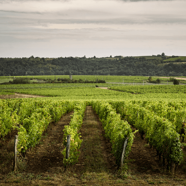 Domaine des Hauts Perrays