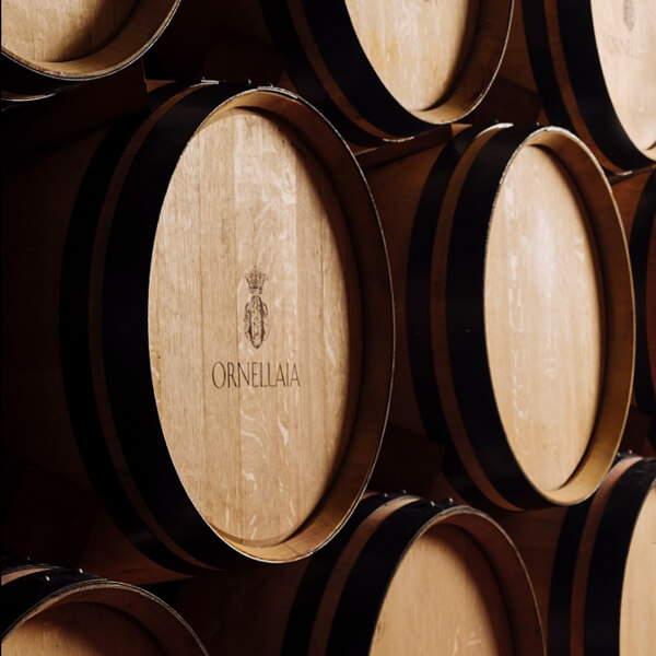 Tenuta dell'Ornellaia