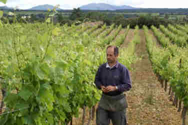 Domaine-Anne-Gros-et-Jean-Paul-Tollot