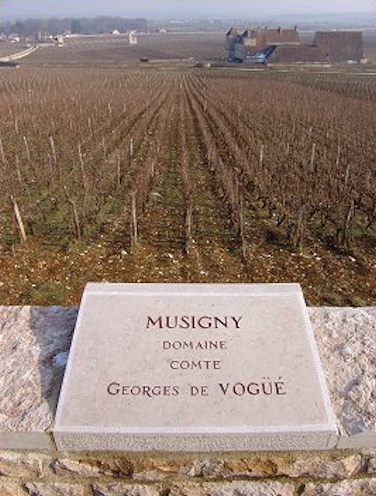 Domaine-Comte-Georges-de-Vogüé
