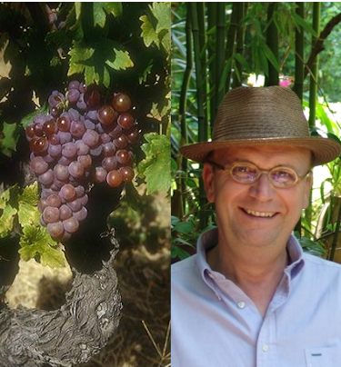 Domaine-Jacques-Boyer