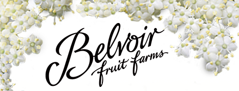 Belvoir