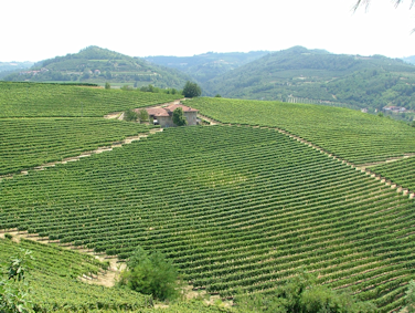 Bricco-Maiolica