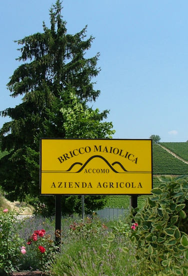 Bricco-Maiolica