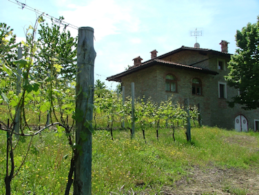 Bricco-Maiolica