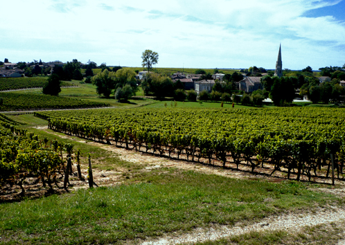 Château-Lafaurie-Peyraguey