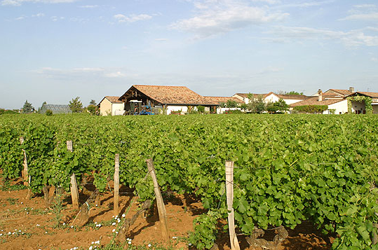 Château-Doisy-Daëne