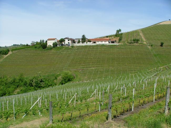 Bricco-Maiolica