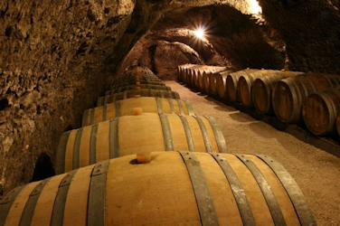 Domaine-Vincent-Carême