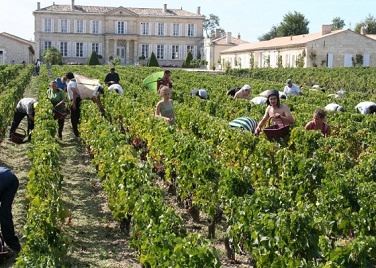 Château-Branaire-Ducru