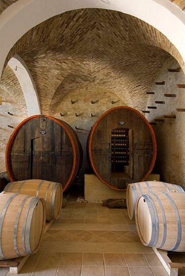 Ciavolich