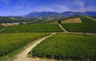 Ciavolich