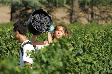 Château-Cheval-Blanc