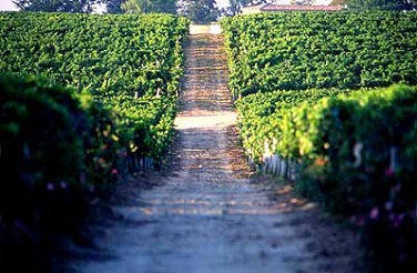 Château-Figeac