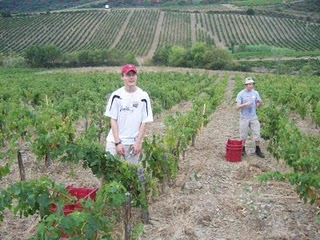 Domaine-La-Sarabande