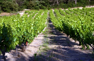 Domaine-Giraud