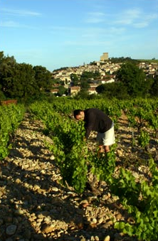 Domaine-Giraud