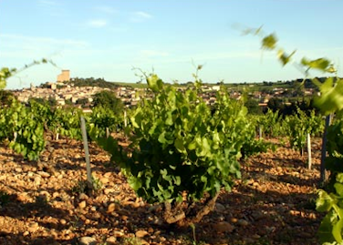 Domaine-Giraud