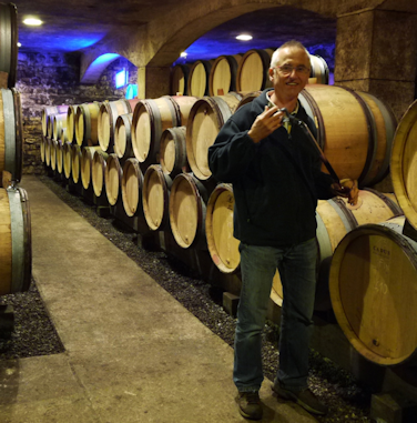 Domaine-Thierry-Mortet