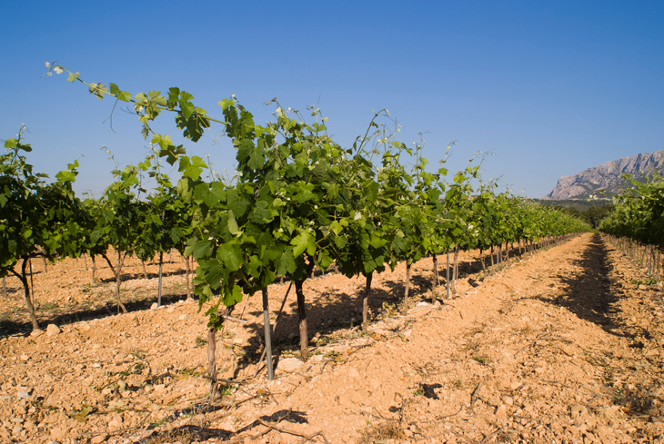 Domaine-Sainte-Lucie