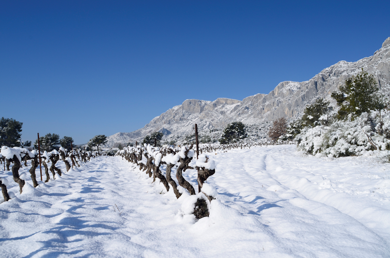 Domaine-Sainte-Lucie