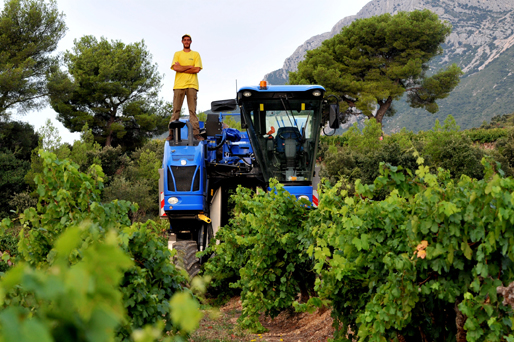 Domaine-Sainte-Lucie