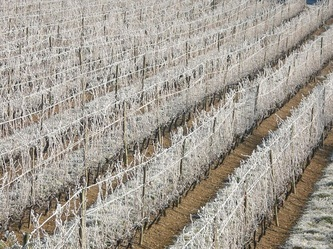 Domaine-du-Fontenay