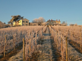 Domaine-du-Fontenay