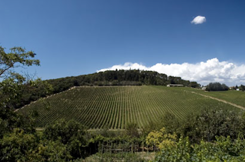 Marchesi-Antinori