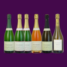 2012-WINTER-CHAMPAGNE---Egly-Ouriet-Taster-Case-(six-bottles)