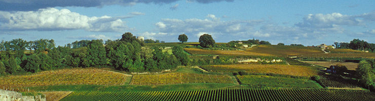 Château-Moulin-Saint-Georges