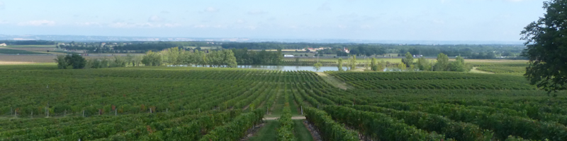 Château-Bellevue-La-Forêt