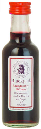 BLACKJACK-Blackcurrant-Gin-Foxdenton-Estate