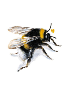 CARDS - BEE Archivist Gallery, Lea & Sandeman