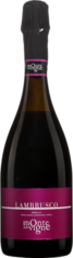 LAMBRUSCO Selezione Monte delle Vigne