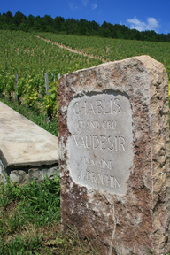 Domaine-Drouhin-Vaudon
