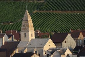 Domaine-Hubert-Lamy