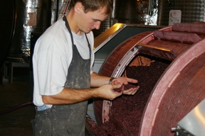 Domaine-Stéphane-Magnien