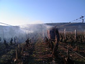 Domaine-Stéphane-Magnien