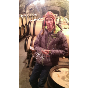 Domaine-Vincent-Dauvissat
