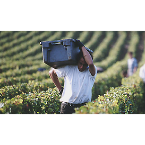 Domaine-Faiveley