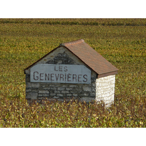 Domaine-Rémi-Jobard