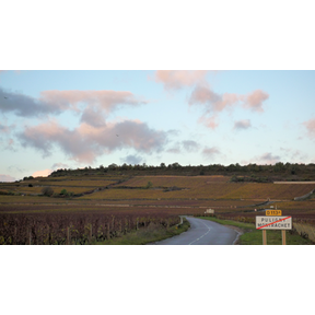 Domaine-Jean-Marc-Boillot