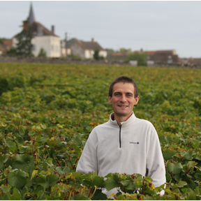 Domaine-Fernand-Laurent-Pillot