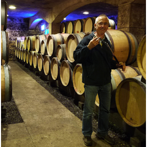 Domaine-Thierry-Mortet