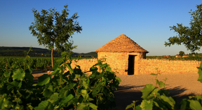 Domaine-Hubert-Lamy